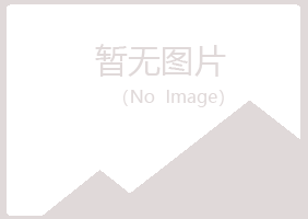 兴山区淡忘零售有限公司